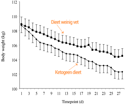 gewichtsverlies keto